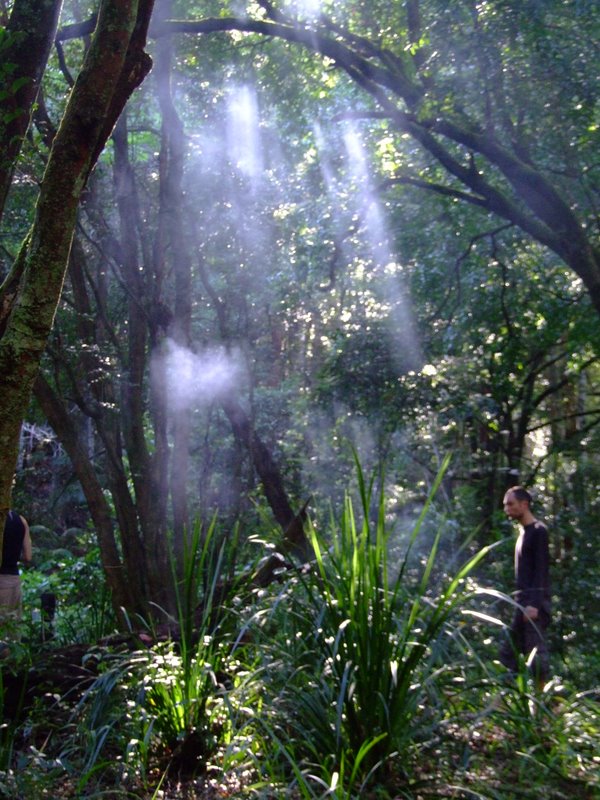 A Forest moment